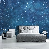 Флизелиновые фотообои в коридор 416x290 см Небо Звезды Созвездия Зодиака Космос (14253VEXXXXL)+клей