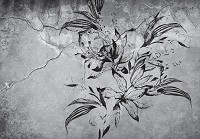 Флизелиновые фотообои 520x318 см Черный цветок на фоне треснувшей стены под штукатуркой (14301VEXXXXXL) +клей - вид 1 миниатюра