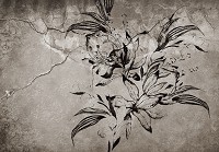 Флизелиновые фотообои 416x290 см Черный цветок на фоне треснувшей стены под бетон (14302VEXXXXL) +клей - вид 1 миниатюра