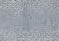 Флизелиновые фотообои в зал 368x254 см Цветы и Птицы на Бетоне (14311V8)+клей - вид 1 миниатюра