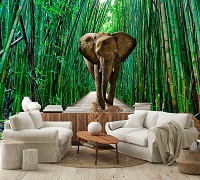 Флизелиновые 3D фотообои природа 312x219 см Животные Слон в бамбуковом лесу (14344VEXXL)+клей