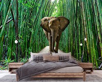 3d флізелінові фотошпалери природи Тварини слон в бамбуковий ліс (14344V)+клей