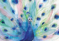 Флізелінові фотошпалери 368x254 см Намальований аквареллю на стіні птах павич (14385V8)+клей - вид 1 мініатюра