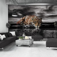 Флизелиновые 3Д фотообои пейзаж 368x280 см Леопард на черно-белом фоне (14419V10)+клей