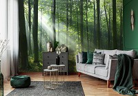 Флизелиновые 3Д фотообои в коридор 312x219 см Природа лес солнце деревья (14420VEXXL)+клей