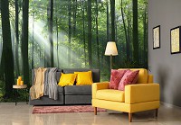 Флизелиновые фотообои 3Д Природа лес солнце деревья (14420V)+клей