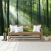 Моющиеся флизелиновые фотообои 3Д 368x254 см Природа лес солнце деревья (14420V8)+клей