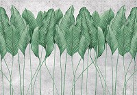 Флізелінові фотошпалери Зелене листя на бетоні (14428V)+клей - вид 1 мініатюра