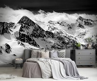 Флизелиновые фотообои 254x184 см Черно-белый пейзаж природа снежная гора (14454V4)+клей