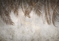 Флизелиновые фотообои в зал 416x254 см Листья на стене из бетона (14496VEXXXL)+клей - вид 1 миниатюра