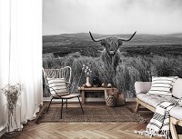 Флизелиновые фотообои черно-белая природа 416x254 см Шотландская горная корова (14499VEXXXL)+клей