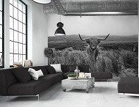 Природа черно-белая флизелиновые фотообои 416x290 см Шотландская горная корова (14499VEXXXXL)+клей