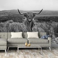 Флизелиновые фотообои черно-белая природа 312x219 см Шотландская горная корова (14499VEXXL)+клей