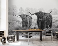 Флизелиновые черно-белые фотообои с природой в интерьере 416x254 см Шотландские горные коровы (14500VEXXXL)+клей