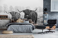 Красивые флизелиновые черно-белые фотообои природа 416x290 см Шотландские горные коровы (14500VEXXXXL)+клей