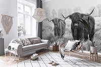 Красивые флизелиновые черно-белые фотообои природа 520x318 см Шотландские горные коровы (14500VEXXXXXL)+клей