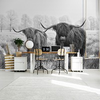 Флизелиновые фотообои черно-белые звери 312x219 см Шотландские горные коровы (14500VEXXL)+клей