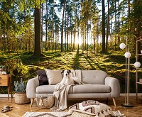 Флизелиновые фотообои 3Д 416x254 см Деревья в лесу пейзаж природа (14505VEXXXL)+клей