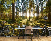 Флизелиновые 3Д фотообои 254x184 см Деревья в лесу пейзаж природа (14505V4)+клей