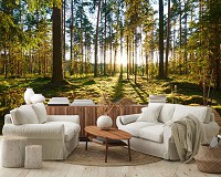 Флизелиновые 3Д фотообои в зал 368x254 см Деревья в лесу пейзаж природа (14505V8)+клей