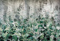 Флізелінові фотошпалери до спальні над ліжком 416x290 см Зелене листя на бетонній стіні (14515VEXXXXL)+клей - вид 1 мініатюра