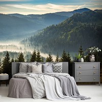 Флизелиновые фотообои 312x219 см 3D Пейзаж Природа Хвойный лес в горах (14537VEXXL)+клей