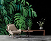 Флизелиновые фотообои в гостиную природа 368x254 см 3D Большие зеленые листья на черном фоне (14549V8)+клей