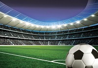 Флизелиновые фотообои в детскую 368x254 см 3D Спорт - футбольный стадион с мячом в углу (14550V8)+клей - вид 1 миниатюра