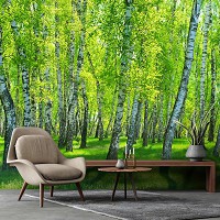 Флизелиновые фотообои деревья 416x254 см 3D Природа Зеленые березы в летнем лесу (14554VEXXXL)+клей