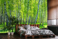 Флизелиновые фотообои деревья 416x290 см 3D Природа Зеленые березы в летнем лесу (14554VEXXXXL)+клей