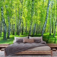 Весенний пейзаж флизелиновые фотообои 312x219 см 3D Природа Зеленые березы в летнем лесу (14554VEXXL)+клей