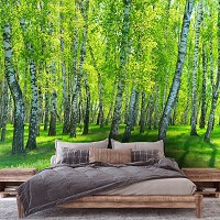 Флизелиновые фотообои 3Д дерево 368x254 см Природа - Зеленый березовый лес (14554V8)+клей - вид 5 миниатюра