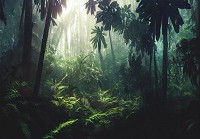 Флізелінові фотошпалери лісний пейзаж 416x290 см 3D Природа Пальми в тропічних джунглях (14555VEXXXXL)+клей - вид 1 мініатюра