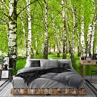 Флизелиновые фотообои в спальню 254x184 см 3D Природа Зеленые березы в лесу (14567V4)+клей