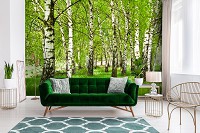 Пейзаж флизелиновые фотообои 368x254 см 3D Природа Зеленые березы в лесу (14567V8)+клей