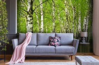 Флизелиновые фотообои дерево 416x254 см 3D Природа Зеленые березы в лесу (14567VEXXXL)+клей