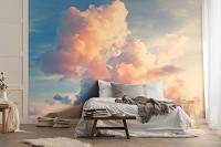 Флизелиновые фотообои на стену 312x219 см Природа Небо Облака на закате солнце (14570VEXXL)+клей