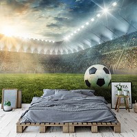 Флизелиновые фотообои в детскую футбол 254x184 см 3D Спорт Немецкий футбольный стадион с мячом (14576V4)+клей
