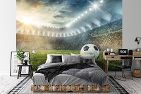 Флизелиновые фотообои футбол в комнату 312x219 см 3D Спорт Немецкий футбольный стадион с мячом (14576VEXXL) +клей