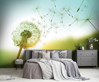 Флизелиновые фотообои с природой 312x219 см 3D Цветы Одуванчик на фоне неба (14584VEXXL)+клей