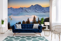 Флизелиновые фотообои 416x254 см ЗD Лесной пейзаж на фоне заснеженных гор (14600VEXXXL)+клей