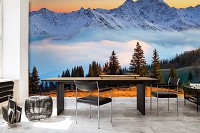 Природа флизелиновые фотообои 416x290 см ЗD Лесной пейзаж на фоне заснеженных гор (14600VEXXXXL)+клей