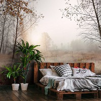 Красивая природа флизелиновые фотообои 416x290 см Утренний осенний пейзаж лесной поляны (14601VEXXXXL) +клей