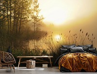 Флизелиновые фотообои лес 254x184 см Природа Пейзаж Туман над лесным озером (14613V4)+клей