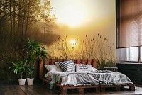 Флизелиновые фотообои для спальни 368x254 см Природа Пейзаж Туман над лесным озером (14613V8)+клей