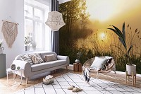 Флизелиновые фотообои в спальню над кроватью 312x219 см Природа Пейзаж Туман над лесным озером (14613VEXXL) +клей