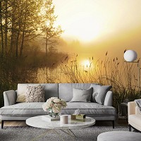 Флизелиновые фотообои 416x254 см Природа Пейзаж Туман над лесным озером (14613VEXXXL)+клей