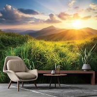Флизелиновые фотообои с облаками 312x219 см ЗD Пейзаж Природа Зеленая трава в горах (14621VEXXL)+клей