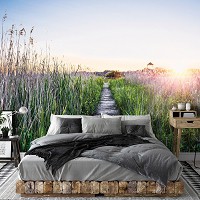 3д флизелиновые фотообои природа 520x318 см Пейзаж дорожка на рассвете в поле (14624VEXXXXXL) +клей