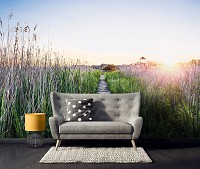 Флизелиновые 3д фотообои природа 312x219 см Пейзаж дорожка на рассвете в поле (14624VEXXL) +клей